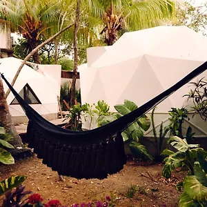Frequency Isla Holbox