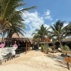 Hotel La Diosa Kali Front, Holbox